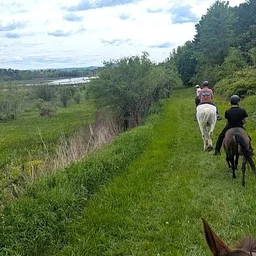 Trail Rides