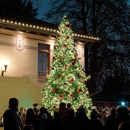 Snohomish Tree Lighting