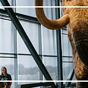 Bell Museum Homeschool Day