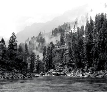 Plants, Fire & Conservation conference – Missoula & online