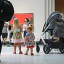 Family Highlights Tours