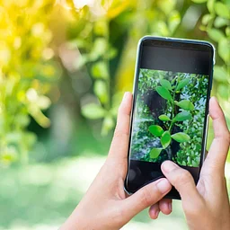 Through Your Lens with Fran Rzeznik: A 4-Session Visual Storytelling Workshop