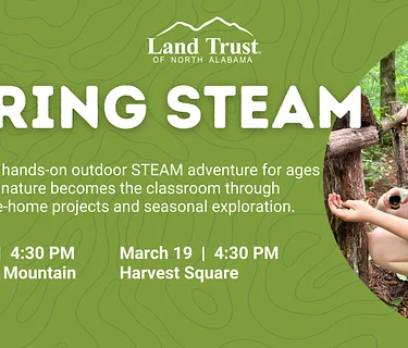 Spring STEAM