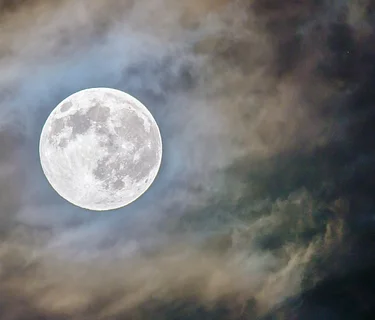 Moonlight & Fireflies Hike