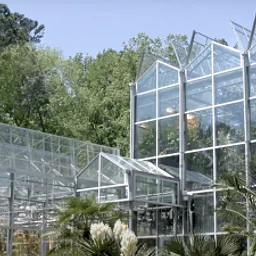 A World of Weird and Wonderful Plants: Duke Research Greenhouse Tour