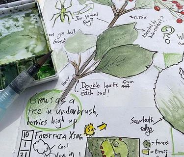 Eco-Family Programs: Nature Journaling