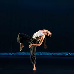 Signal – Detroit Metropolitan Dance