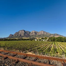 Wine Tasting: Babylonstoren, South Africa