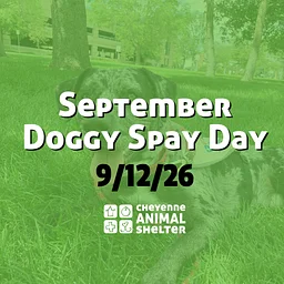 September Doggy Spay Day