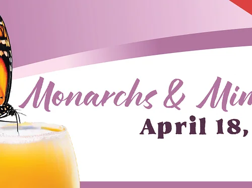 Monarchs and Mimosas – Spring 2026