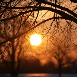 The Power of Breath - A Winter Solstice Experience
