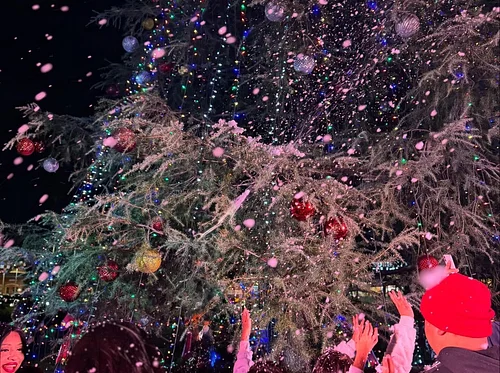 Brea Tree Lighting Ceremony