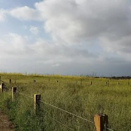 Quail Hill Open Space Bird Walk