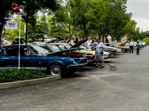 Cars, Kids & Coffee June