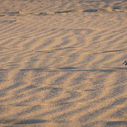 Compass Treasure Hunt at Duxbury Beach