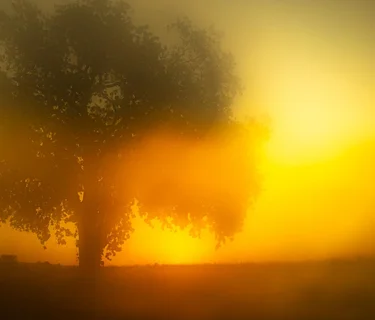 Exhibition: Todd Hido, Many Small Decisions