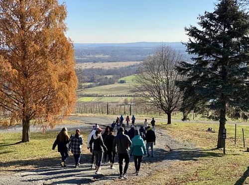 Eighth Annual Pre-Turkey Hill Climb