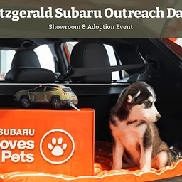 Fitzgerald Subaru Outreach Day