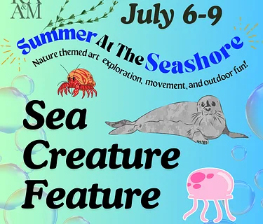 Summer At The Seashore: Sea Creature Feature 🪼