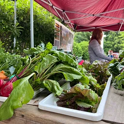 Stowe Farmers Market