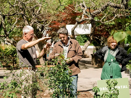 Landscape Foundations: Selecting and Siting Trees and Shrubs