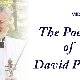 The Poetry of David Perry