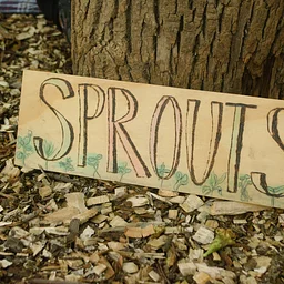 Sprouts