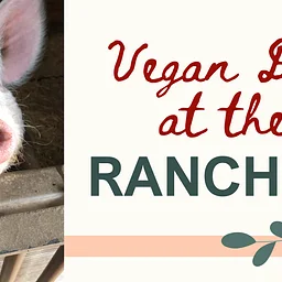 Vegan Day @ Randy's Rescue Ranch!