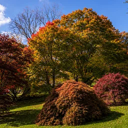 Early September at Highland Park: A Guided Tour
