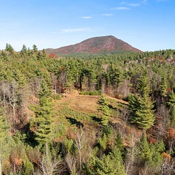 Explore Our Trails