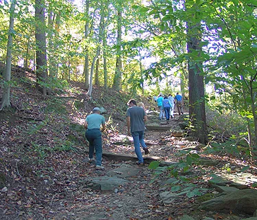 Spring Crum Woods Hike