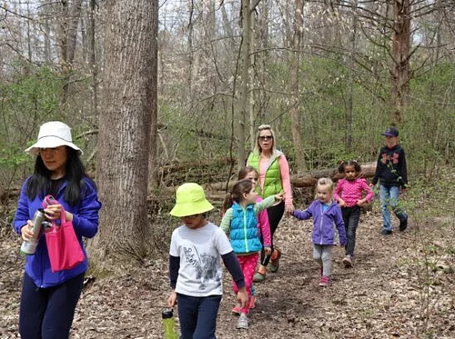 Forest Homeschool Hike