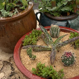 Container Gardening