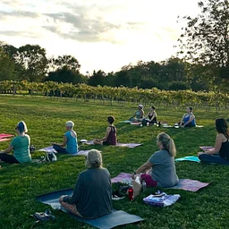 Yoga in the Vineyard
