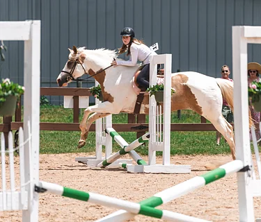 Spring Horse Show