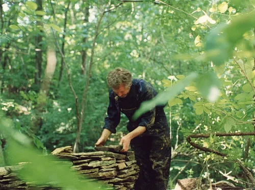 Begin Again: 50 Years and Counting