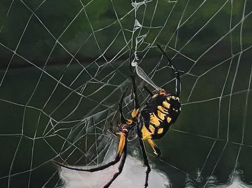 Big Helpers: Mutualism Magnified