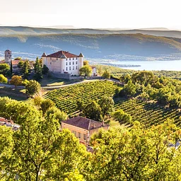 Summer Dinner on the French Riviera...Featuring the Wines & Flavors of the Mediterranean
