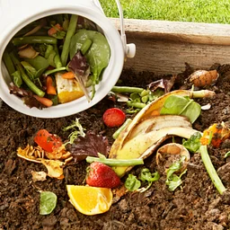 Compost Workshop