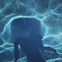 CREATIVITY WORKSHOPS WITH ROSEMINNA WATSON: Your Body Knows the Way