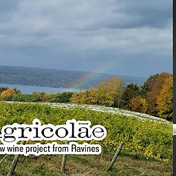 Introducing Agricolae: A New Wine Project from Ravines