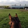 Virginia Horse Center