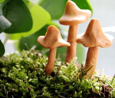 Oaks and Acorns: Leprechaun Garden