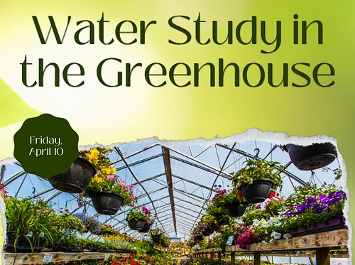 Water Study in the Greenhouse
