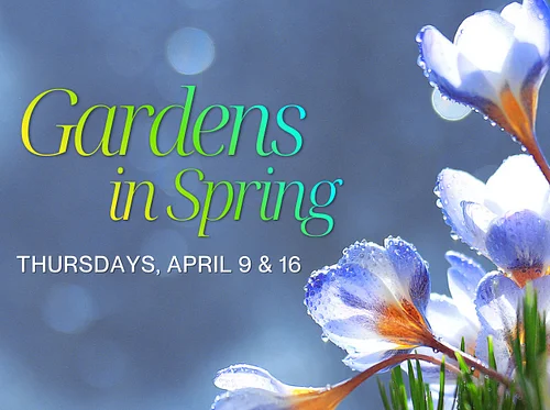 Gardens in Spring (Week 1)