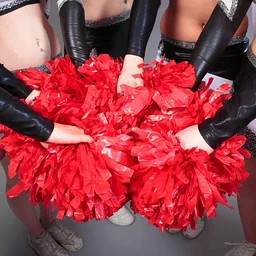 Showcase of Champions Cheer Competition