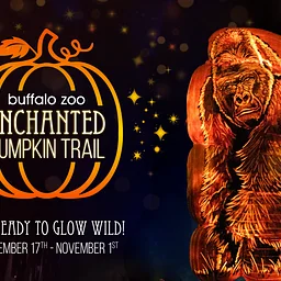 Enchanted Pumpkin Trail