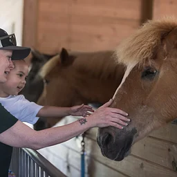 Open Barn Day