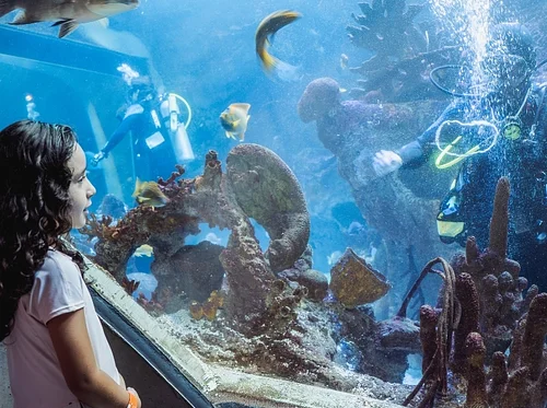 World Ocean Day 2026