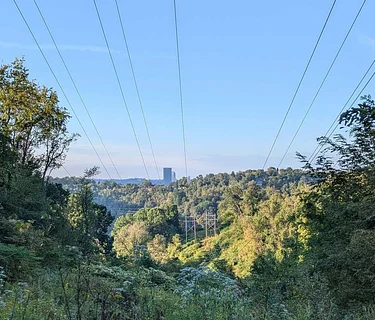 Girty’s Woods – Stewardship Hike